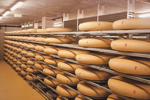 cheese-production
