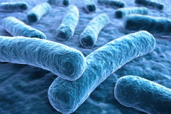 Controlling Bacteria Transmission: Temperature & Humidity for ...