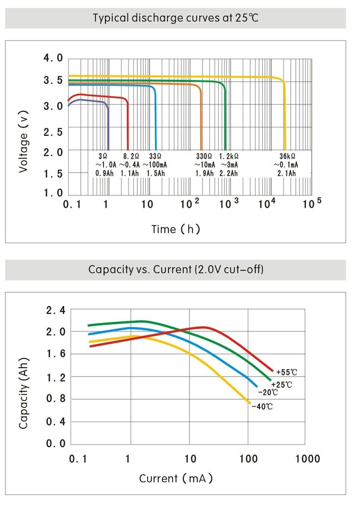 RMS-Batterie – Rotronic RMS Bat - 2